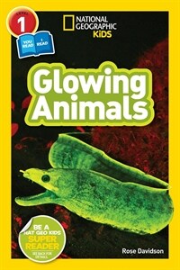 Glowing animals 