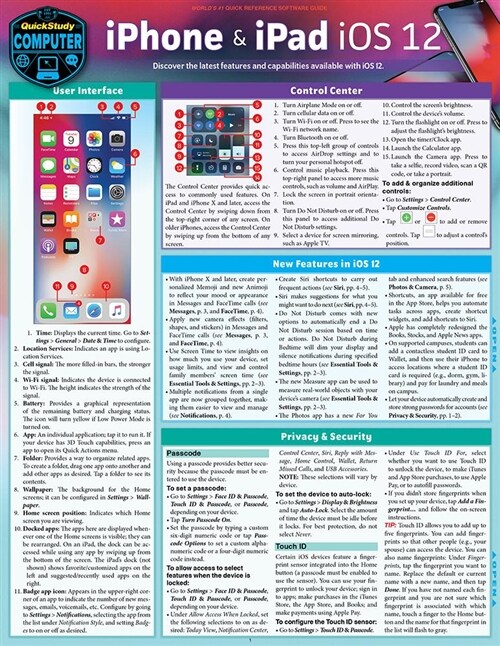 iPhone & iPad IOS 12: A Quickstudy Laminated Reference Guide (Other, First Edition)