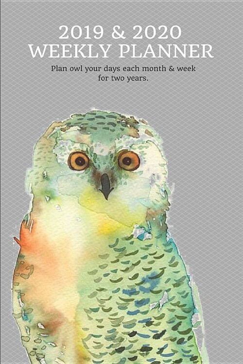 2019 & 2020 Weekly Planner Plan Owl Your Days Each Month & Week for Two Years.: Petty Watercolor Art of Bird & Pun: Agenda Appointment Book for Planni (Paperback)