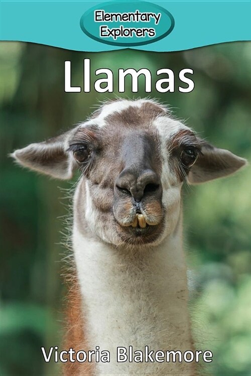 Llamas (Paperback)