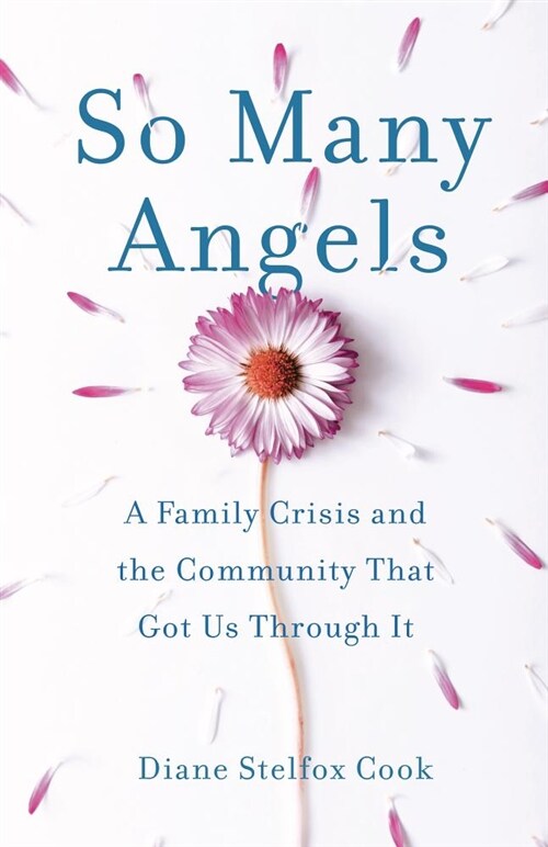 So Many Angels: A Family Crisis and the Community That Got Us Through It (Paperback)