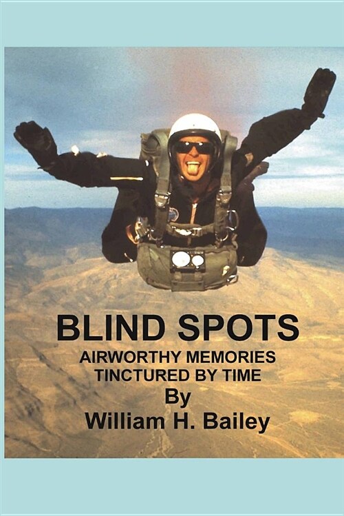 Blind Spots: Airworthy Memories Tinctured by Time (Paperback)