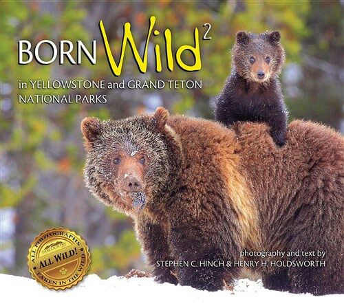 Born Wild 2: In Yellowstone and Grand Teton National Parks (Paperback)