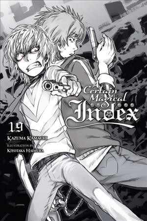 A Certain Magical Index, Vol. 19 (Light Novel) (Paperback)