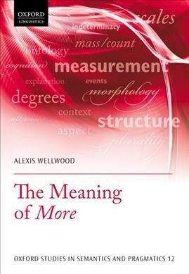 The Meaning of More (Paperback)