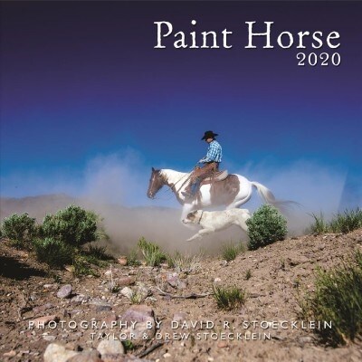 2020 Paint Horse Calendar (Wall)