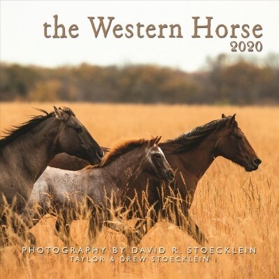 Western Horse 2020 Calendar (Calendar, Wall)