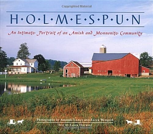 Holmespun (Hardcover, 1st)