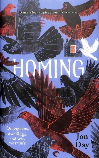 Homing : On Pigeons, Dwellings and Why We Return (Hardcover)