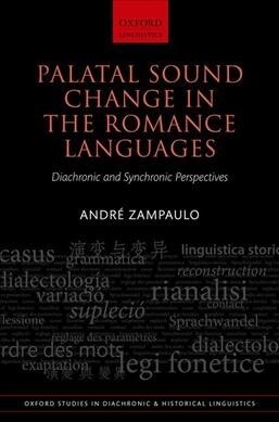 Palatal Sound Change in the Romance Languages : Diachronic and Synchronic Perspectives (Hardcover)
