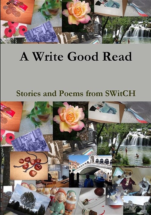 A Write Good Read (Paperback)