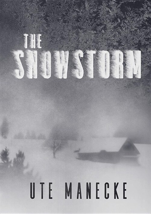 The Snowstorm (Paperback)