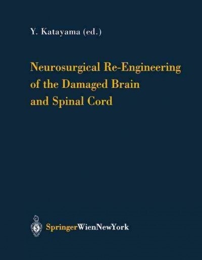 Neurosurgical Re-Engineering of the Damaged Brain and Spinal Cord (Paperback, Softcover Repri)