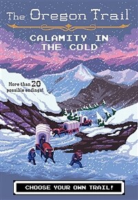 Calamity in the cold 