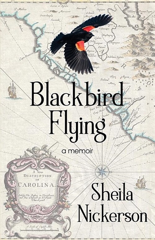 Blackbird Flying (Paperback)