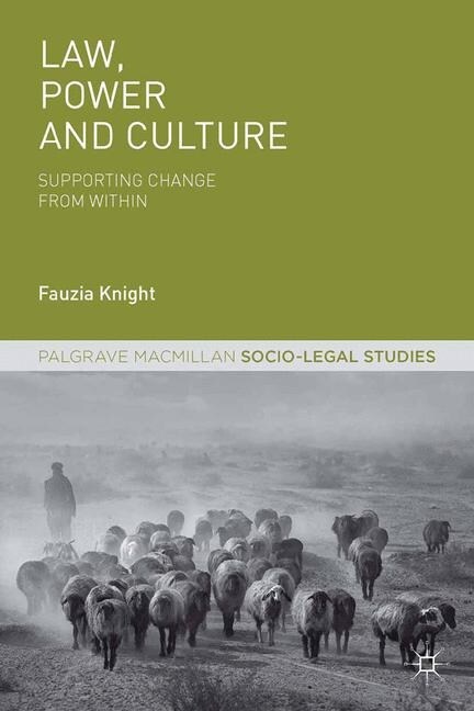 Law, Power and Culture: Supporting Change from Within (Paperback, Softcover Repri)