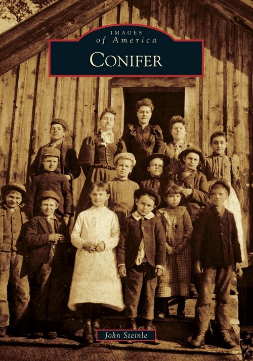 Conifer (Paperback)