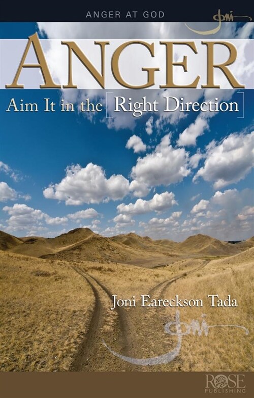 Anger: Aim It in the Right Direction (Paperback)