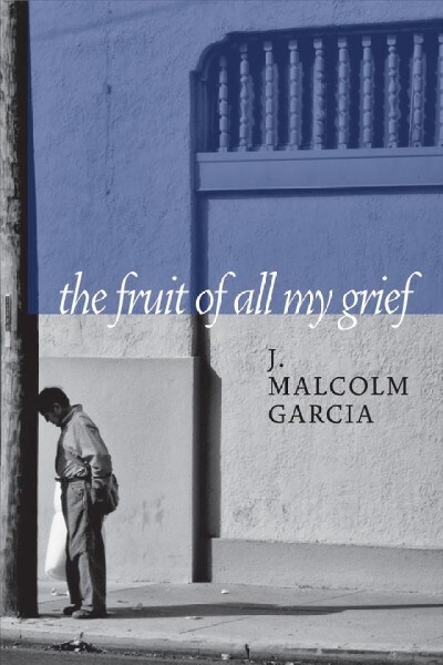 [중고] The Fruit of All My Grief: Lives in the Shadows of the American Dream (Paperback)