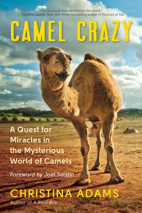 Camel Crazy: A Quest for Miracles in the Mysterious World of Camels (Paperback)