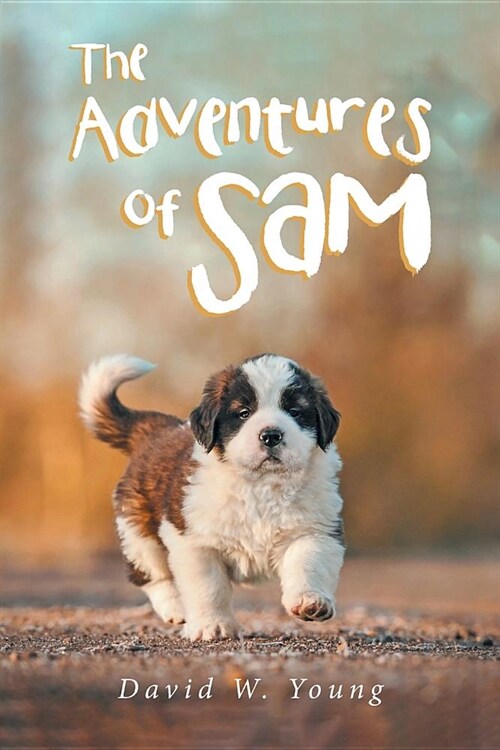 The Adventures of Sam (Paperback)