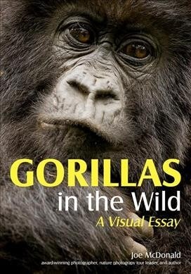 Gorillas in the Wild: A Visual Essay (Paperback)