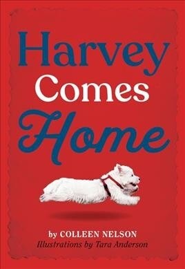 Harvey Comes Home (Hardcover)