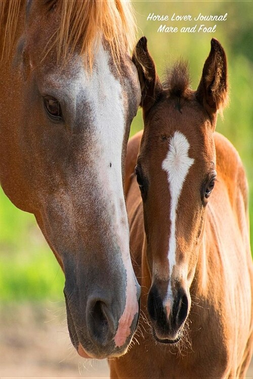 Horse Lover Journal Mare and Foal: Organizer Note Book for Horse Lovers (Paperback)