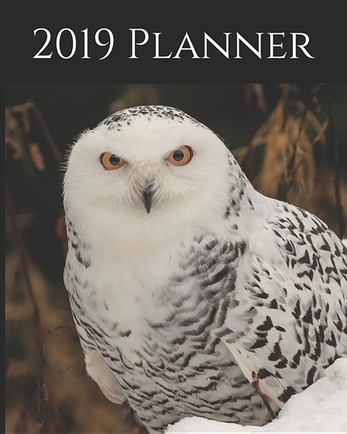 2019 Planner: Weekly Planner & Monthly Calendar - Desk Diary, Journal, Snowy Owl, Alaskan Owls, Alaska, North American Wildlife, Raw (Paperback)