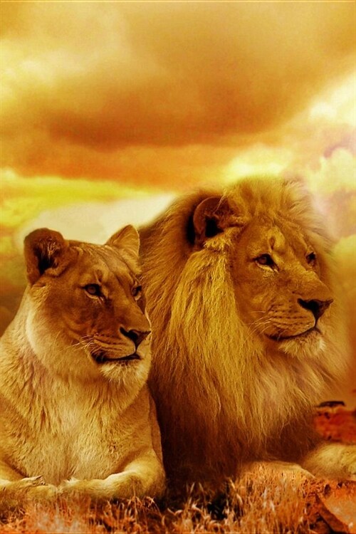 Notes: Lined Notebook 120 Pages (6 X 9 Inches) Ruled Writing Journal with a Majestic Lion and Lioness Cover (Paperback)