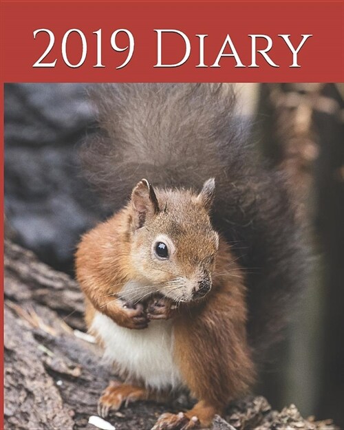 2019 Diary: Weekly Planner & Monthly Calendar - Desk Diary, Journal, Red Squirrel, Wildlife, (Paperback)