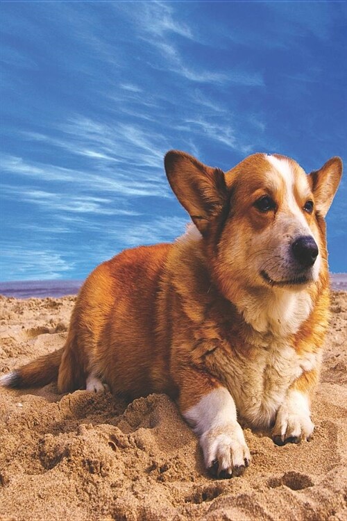 Notes: Lined Notebook 120 Pages (6 X 9 Inches) Ruled Writing Journal with a Cute Pembroke Welsh Corgi Lying on a Sandy Beach (Paperback)