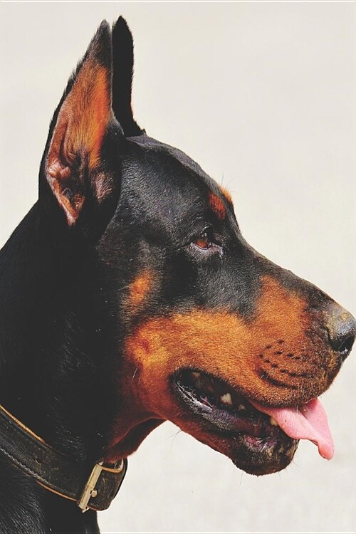 Notes: Lined Notebook 120 Pages (6 X 9 Inches) Ruled Writing Journal with a Stunning Brown and Tan Doberman Pinscher Cover (Paperback)
