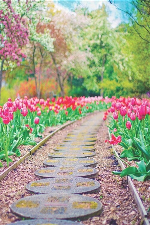 Notes: Lined Notebook 120 Pages (6 X 9 Inches) Ruled Writing Journal with Springtime Pink and Red Tulips Lining a Walkway in (Paperback)