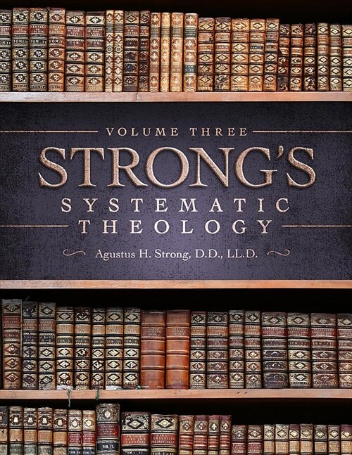 Systematic Theology: Volume 3: The Doctrine of Salvation (Paperback)