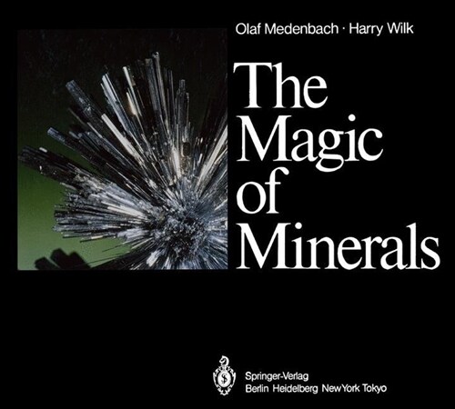 The Magic of Minerals (Paperback, Softcover Repri)