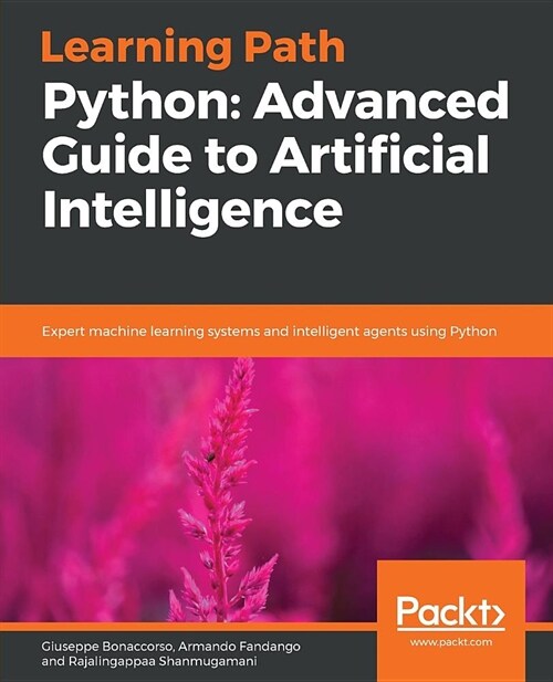 Python: Advanced Guide to Artificial Intelligence : Expert machine learning systems and intelligent agents using Python (Paperback)