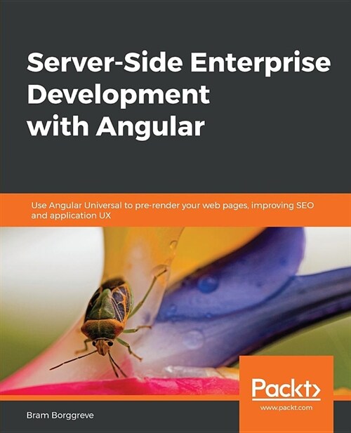 Server-Side Enterprise Development with Angular : Use Angular Universal to pre-render your web pages, improving SEO and application UX (Paperback)