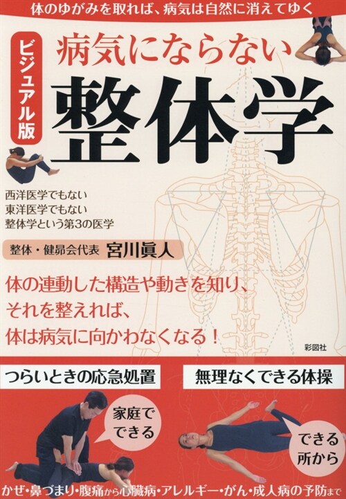 ビジュアル版病氣にならない整體