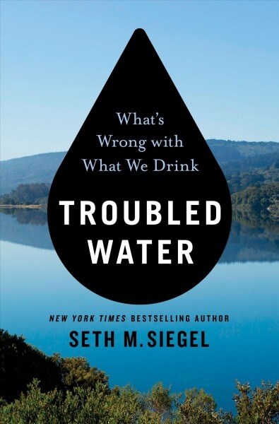 Troubled Water: Whats Wrong with What We Drink (Hardcover)