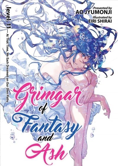 Grimgar of Fantasy and Ash (Light Novel) Vol. 11 (Paperback)