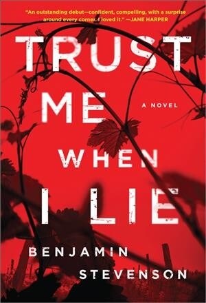 Trust Me When I Lie (Paperback)