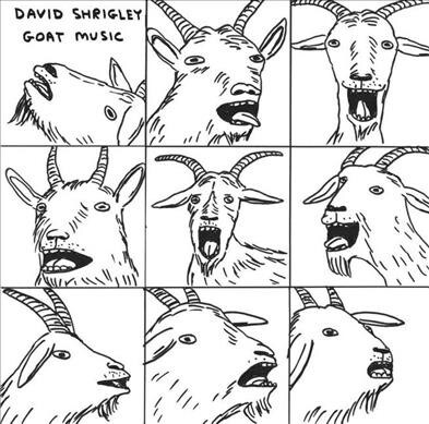 David Shrigley: Goat Music (Paperback)