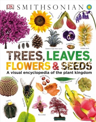 Trees, Leaves, Flowers and Seeds: A Visual Encyclopedia of the Plant Kingdom (Hardcover)
