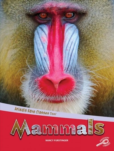 Animals Have Classes Too! Mammals (Paperback)