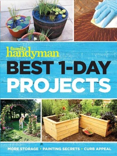 Best 1-Day Projects (Paperback)