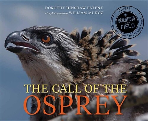 Call of the Osprey (Paperback)