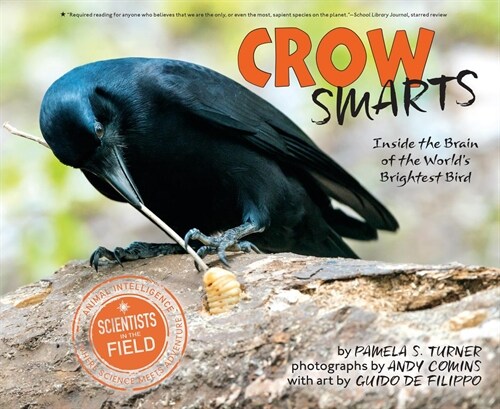 Crow Smarts: Inside the Brain of the Worlds Brightest Bird (Paperback)