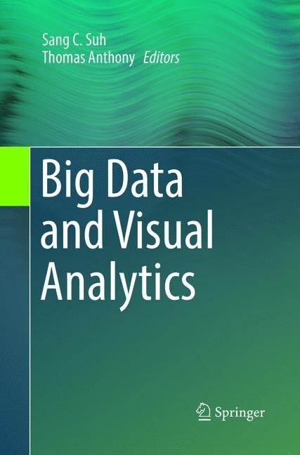 Big Data and Visual Analytics (Paperback)