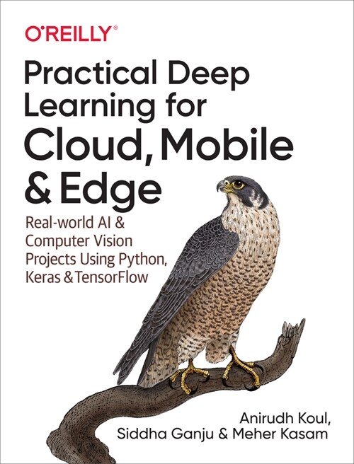 Practical Deep Learning for Cloud, Mobile, and Edge: Real-World AI & Computer-Vision Projects Using Python, Keras & Tensorflow (Paperback)